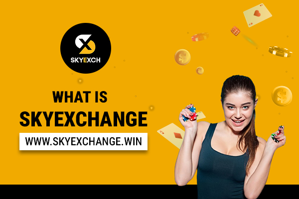 What is Skyexchange